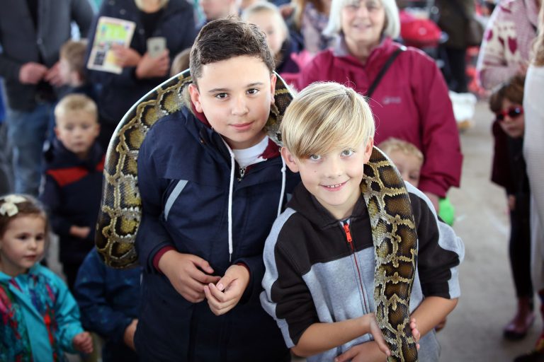 Roaming reptiles at Spookyard