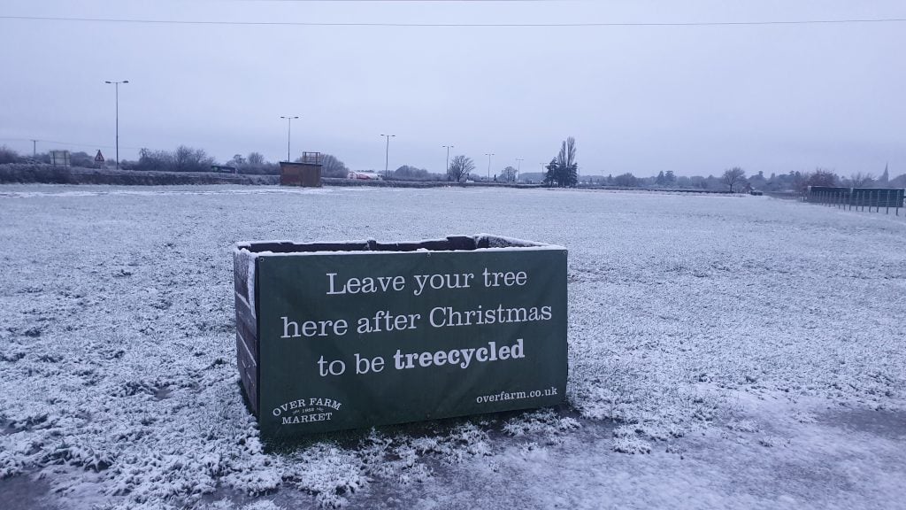 Treecycle