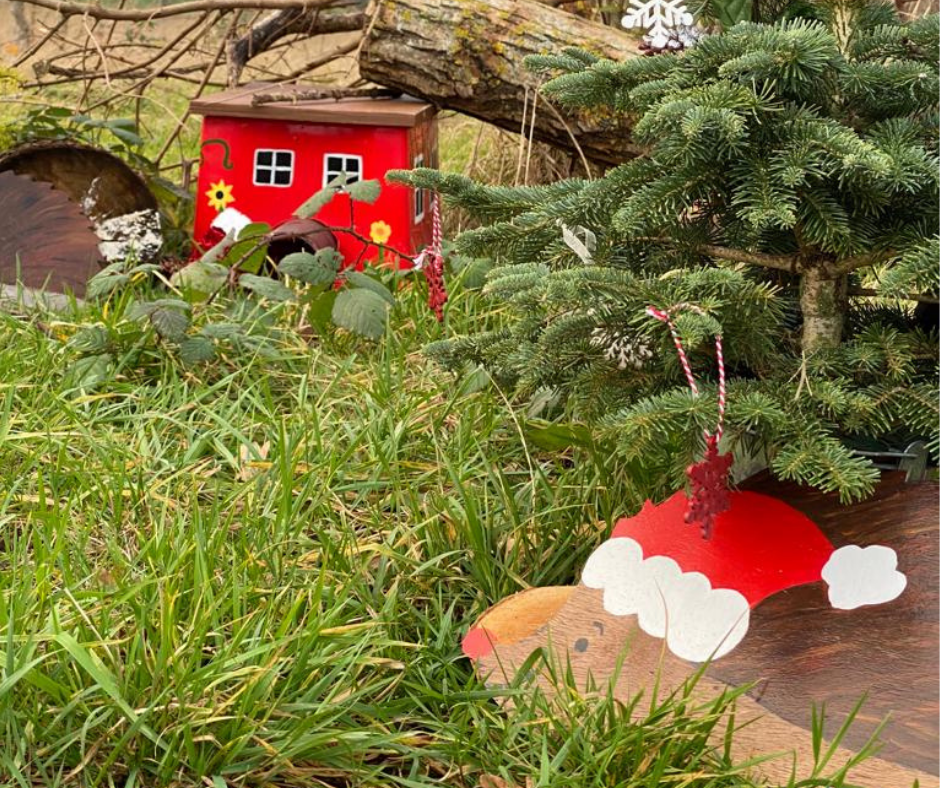 hedgehog habitat
