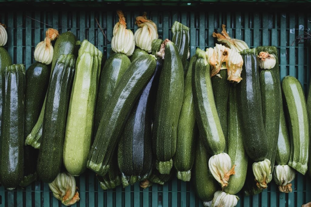 Freshly picked courgettes.