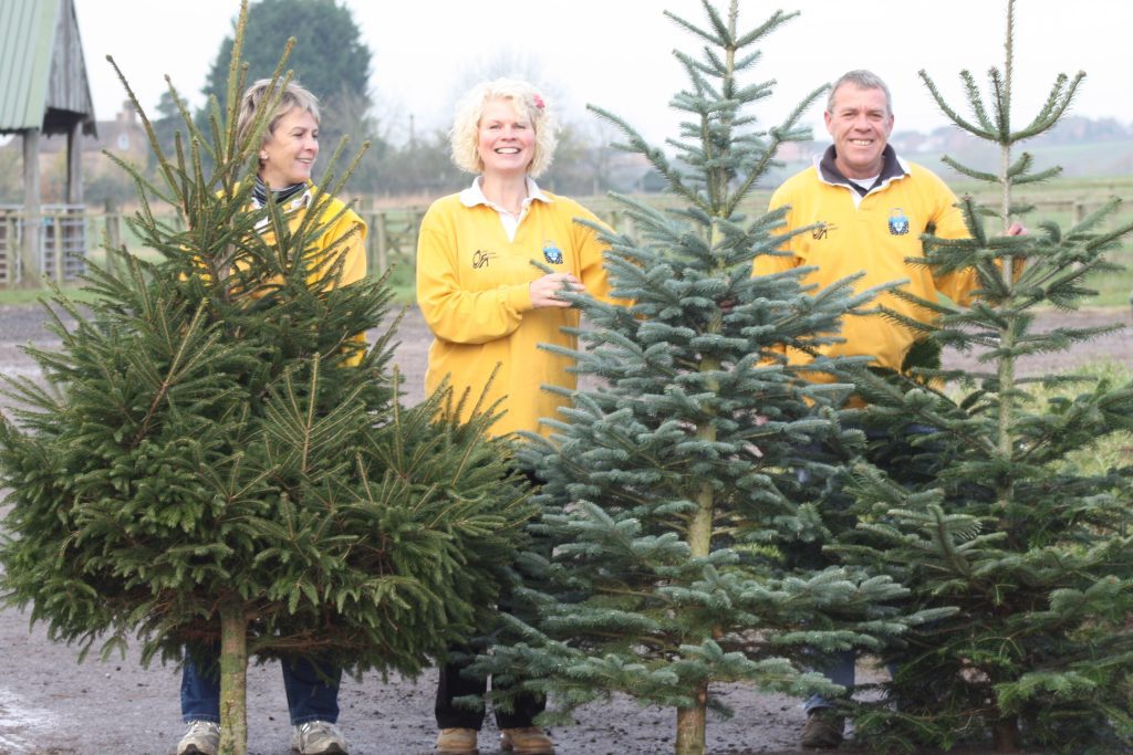 Smiley team with trees