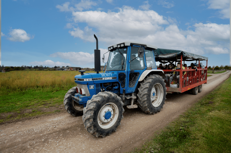 farm park tractor