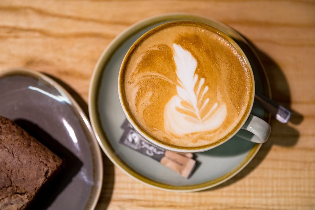 Coffee and milk fern