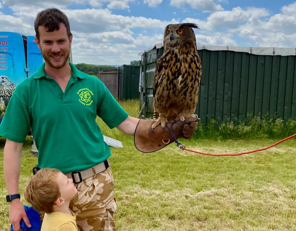 birds of prey