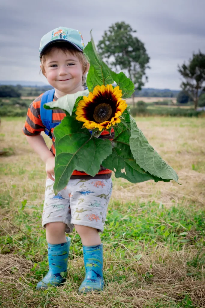 Portrait boy with sunflower