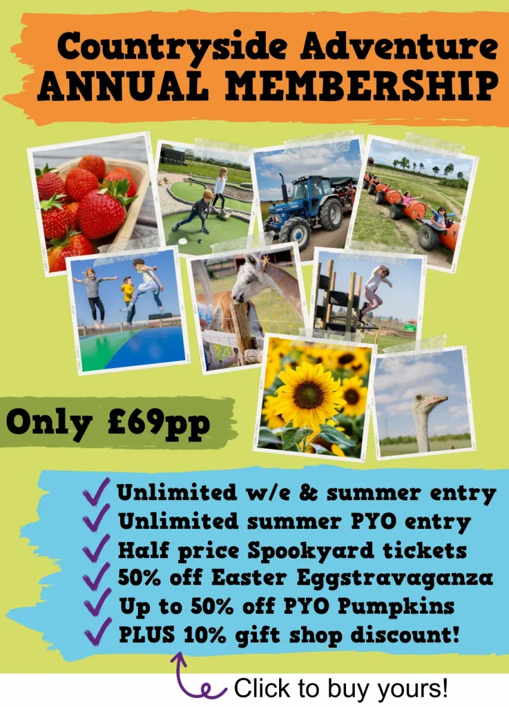 website membership poster