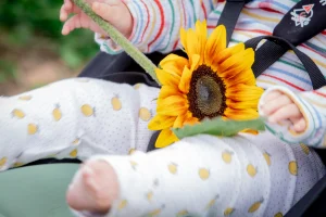 Baby holding a sunflower in a pram