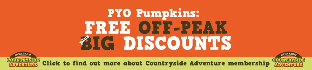 PYO Pumpkins Big Discounts web banner