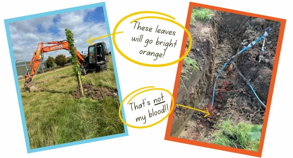Digging pic for blog