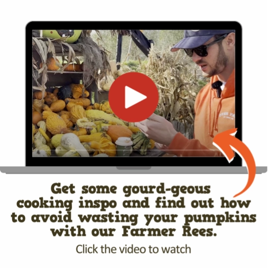 Pumpkin handy guide video image