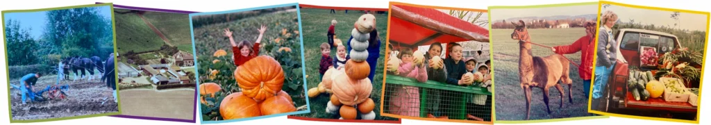 Old Photos Over Farm as a banner