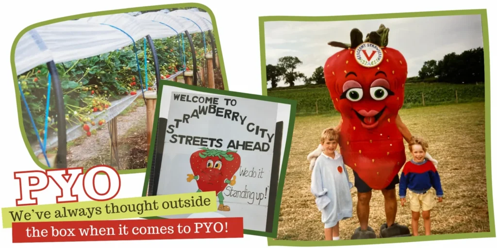 Over Farm Pyo Pics