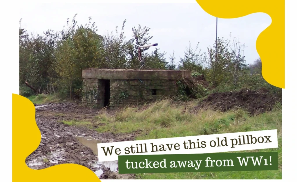 Pillbox Photo