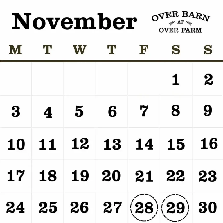 2025 November Barn Dance Calendar