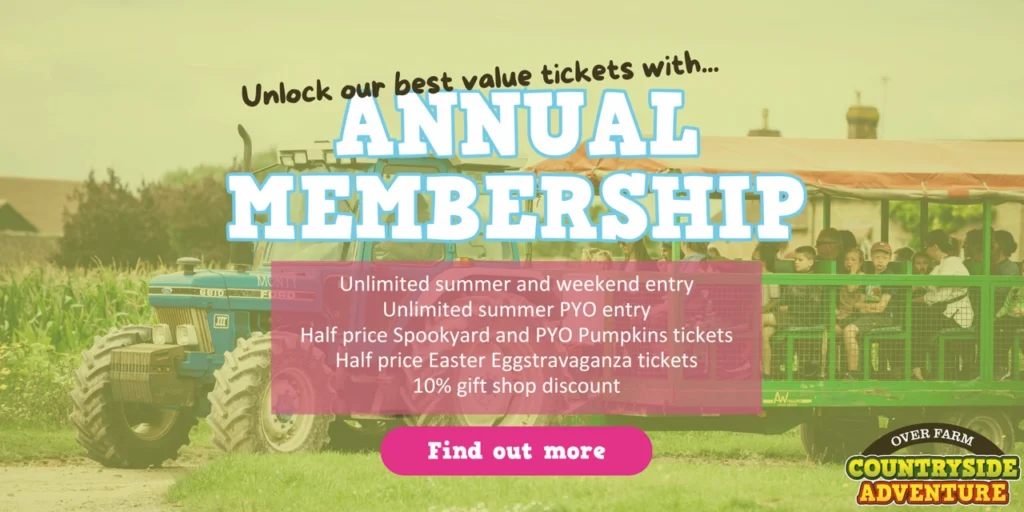 Annual Membership Ca Image