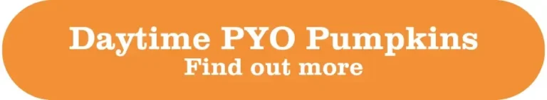 Button pyo pumpkins find out more