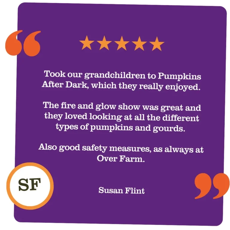 Susan flint pumpkins testimonial
