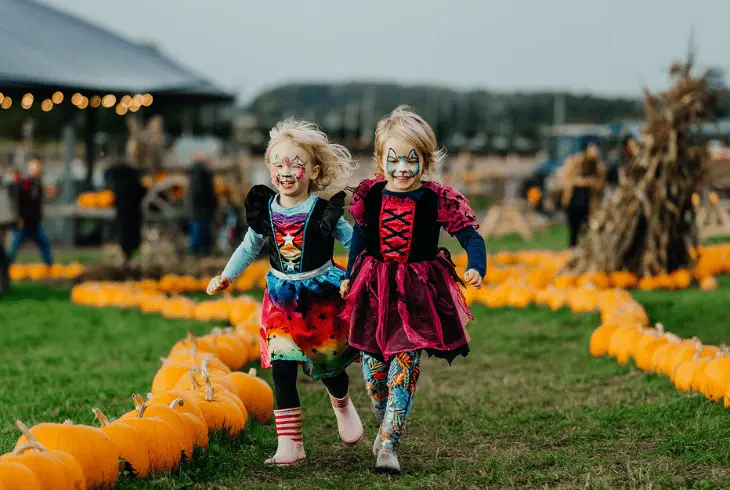Pumpkin Displays
