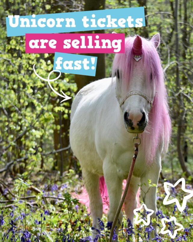 🦄 One last day of unicorn magic this summer...

Our three real-life unicorns are making their final appearance at Countryside Adventure on Saturday 29th August, and we can't wait! ✨

If you spotted our little teaser earlier this month, you might already have this one in the diary... 👀

Tickets are expected to sell out and there won't be entry available on the door, so if you're joining us, make sure you've got your tickets ready!

📆 Saturday 29th August
📍 Countryside Adventure, Over Farm, GL2 8DB
🎟️ Find the pink dot on our booking calendar, link in bio! 🦄